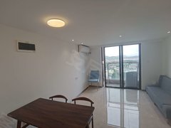 东莞黄江天虹融创公园首府(商住楼) 2室2厅1卫  电梯房 精装修出租房源真实图片