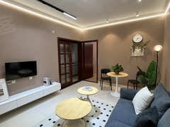 合肥新站火车站三号线地铁口火车站 浙皖汇 天目未来 宝文国际 正规一室一厅出租房源真实图片