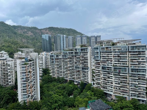 深圳南山蛇口半山海景兰溪谷(二期)(新上)兰溪谷 安静 豪华装修 随时