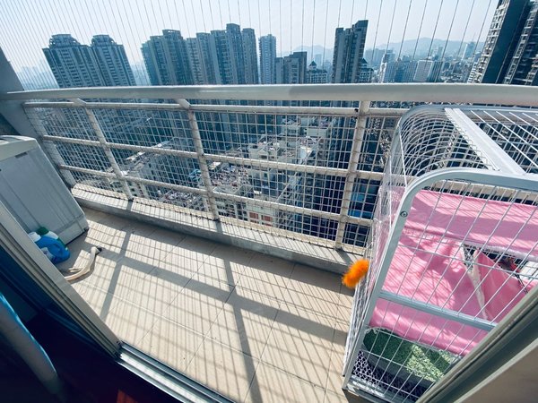 福州鼓楼五四路华城国际五四路新华都旁边电梯精装单身公寓湖东路观风