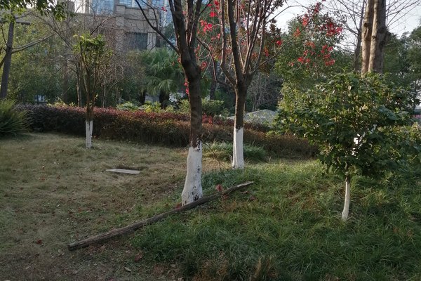 富临桃花岛,涪滨路 - 绵阳富临桃花岛二手房,租房,房价-绵阳安居客