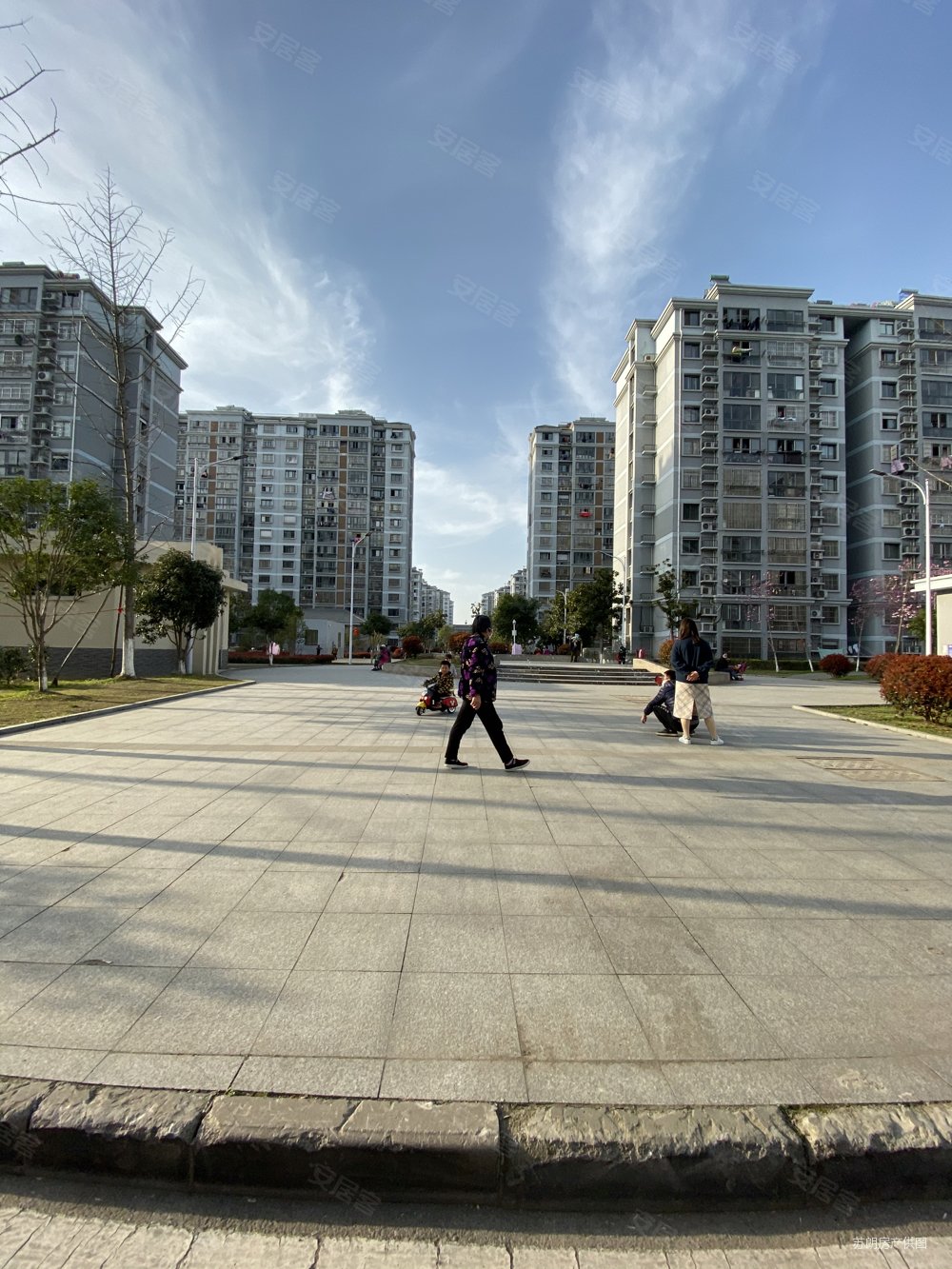 海棠苑电梯两房高楼层价格美丽