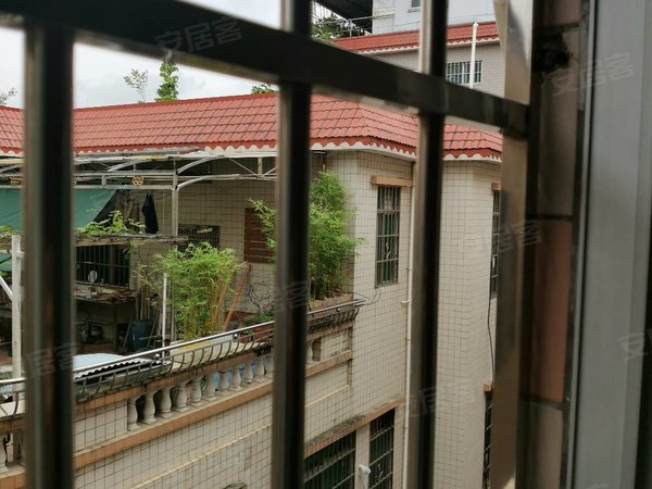 广州天河岑村岑村红花岗西街2号住宅楼岑村红花岗一房一厅出租好光线