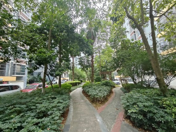 南宁青秀凤岭北凤岭名园弥珍道,单间配套出租,长租短租都可以出租房源