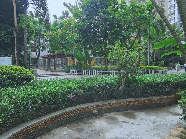 深圳宝安宝安中心区丽晶国际阳台看小区花园和泳池!丽晶国际4房,全齐!