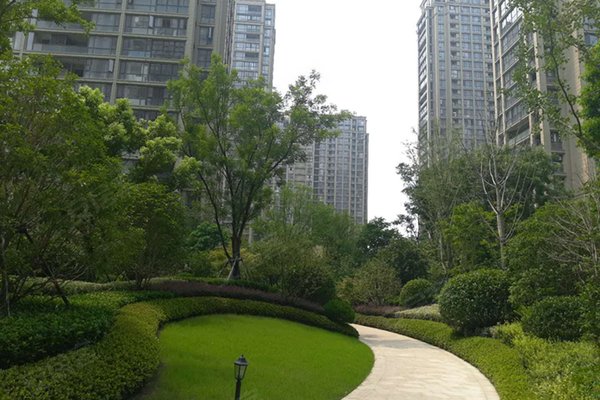 绿城玉兰广场春晓苑(玉兰广场一期)