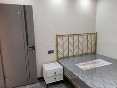上海浦东泥城近中国黄金，独立厨卫一室一厅，新房非常干净！出租房源真实图片