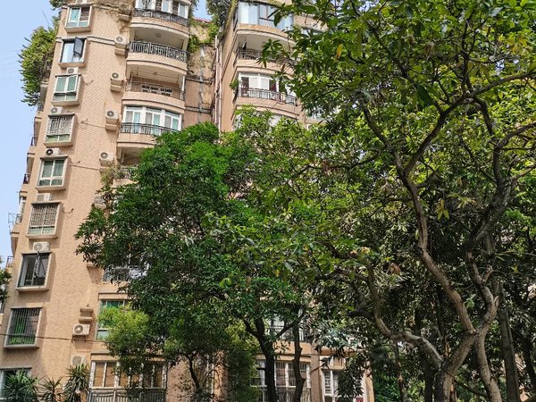 广州天河员村华翠街小区天河公园东门华翠街小区电梯南向三房出租出租