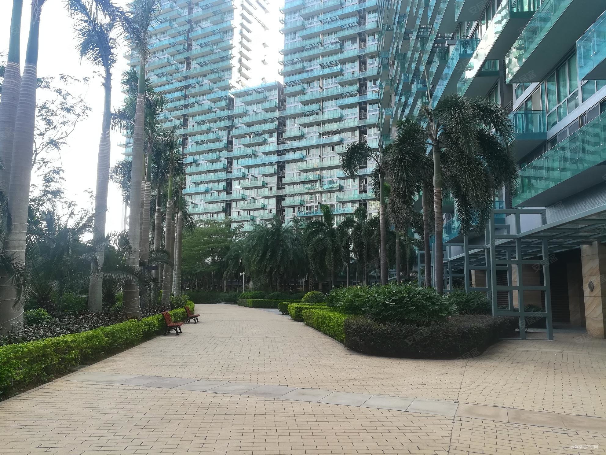 红树西岸2栋位置!经典户型,可以看到香港,景观很好,无遮挡