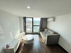杭州西湖转塘美院 音乐学院旁 6号线枫桦西路地铁口 清爽两室loft出租房源真实图片