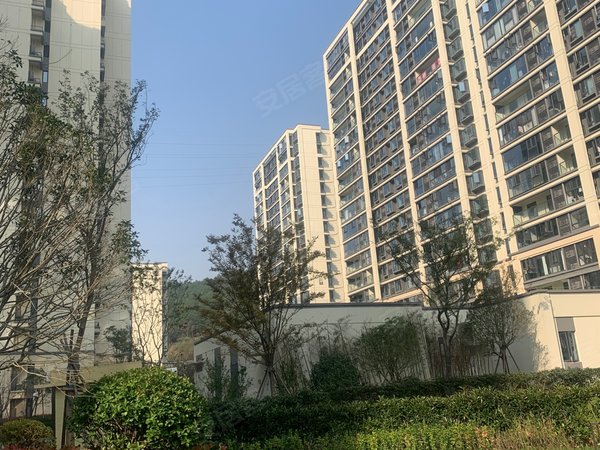 宁波北仑大榭中杨时代潮鸣北仑大榭 时代潮鸣 三室新装 电梯房 有车位