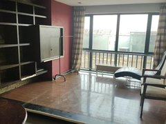 天津南开华苑麦迪逊一室一厅76平出租房源真实图片