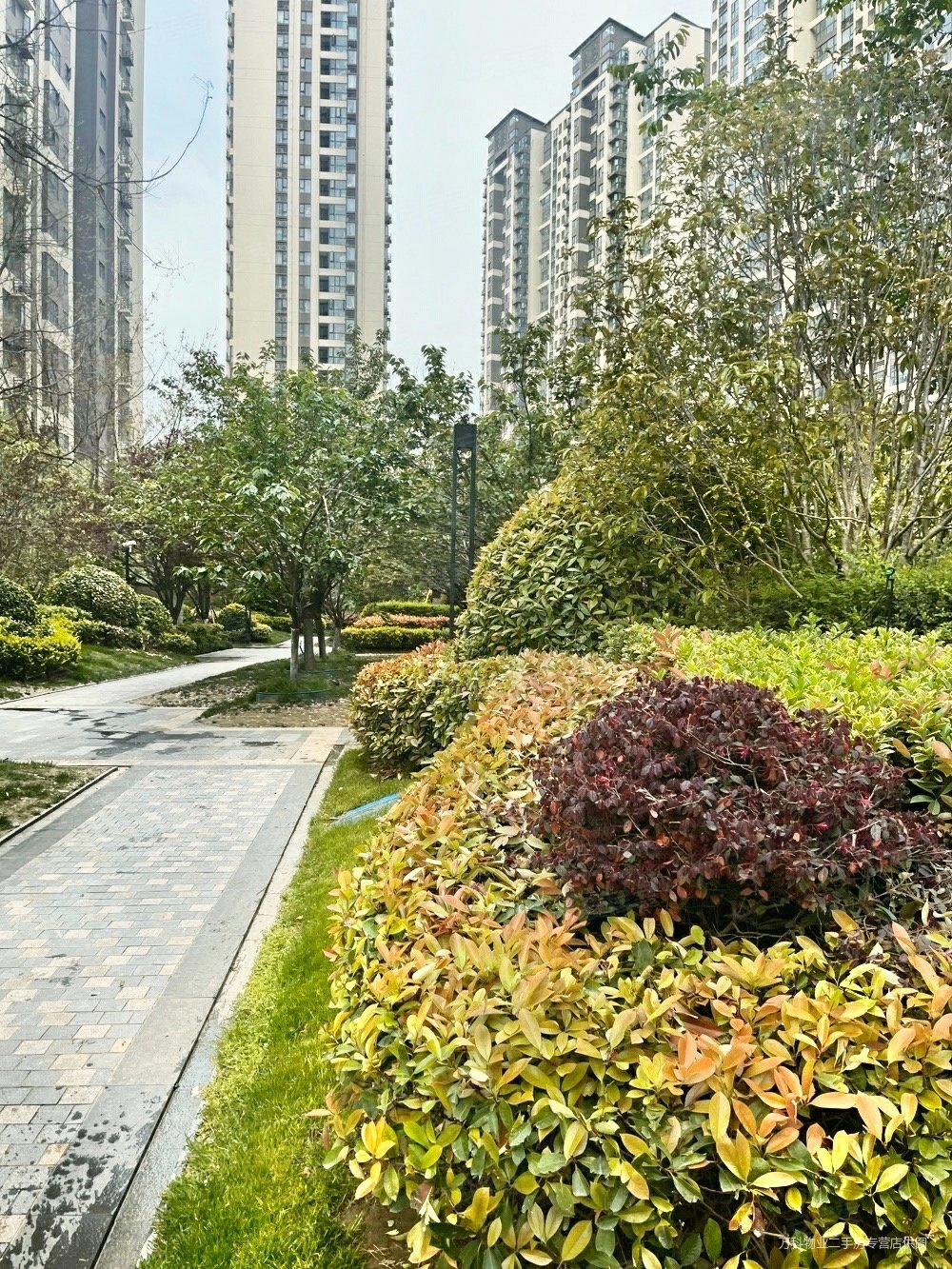 美景麟起城一号院