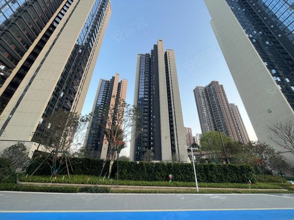深圳龙华龙华区政府合正观澜汇(二期)合正观澜汇 家电齐全出租 本小区
