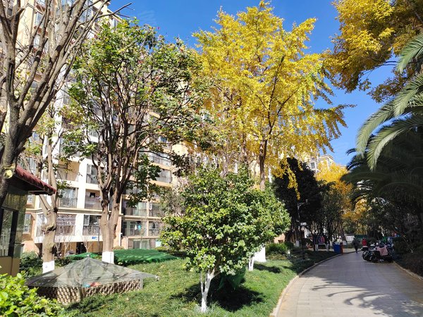 昆明官渡新亚洲体育城万景园万景园 电梯两房带家具家电拎包入住出租