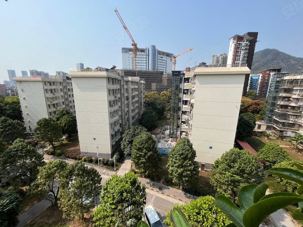 深圳南山蛇口翠竹园带顶楼花园,已种好菜,三房,拎包入住出租房源真实