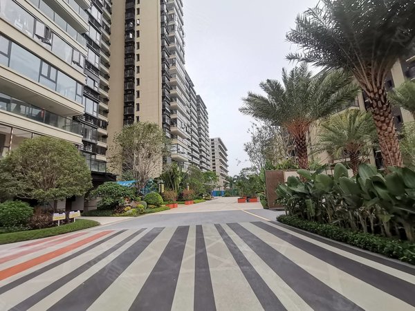 南宁青秀凤岭南彰泰红b区彰泰红两梯三户 双阳台 从未住过 4500配齐