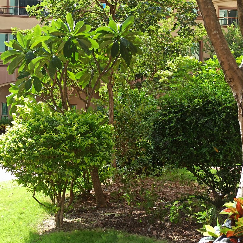 【海洲花园, 海洲花园小区详情,房价走势,房源,业主论坛】- 广州58