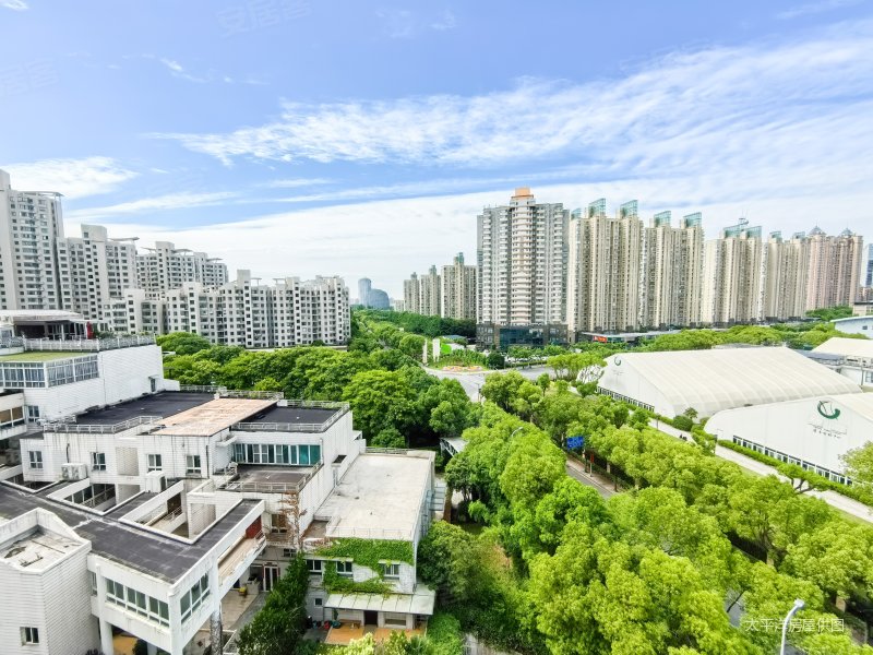 有南北直通飞机全明户型四室 大阳台 大套内空间 接受置换,陆家嘴花园