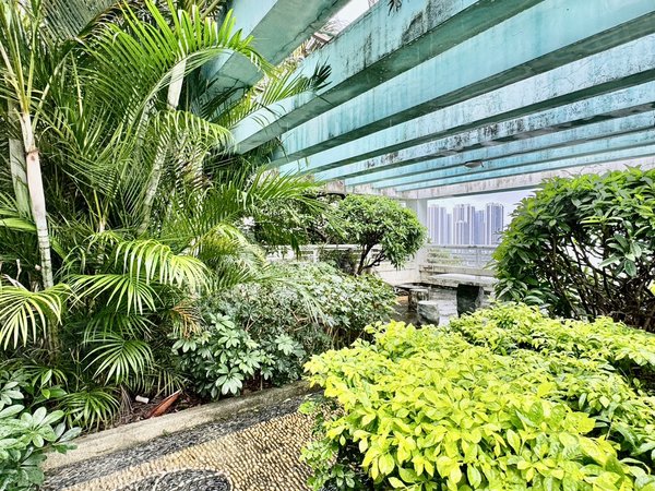 租房,近百平顶楼私家花园 客厅无遮挡海景 密码看房 南海玫瑰园一期