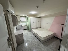 京东总部 经海路地铁站 珠江四季悦城 精装一居室