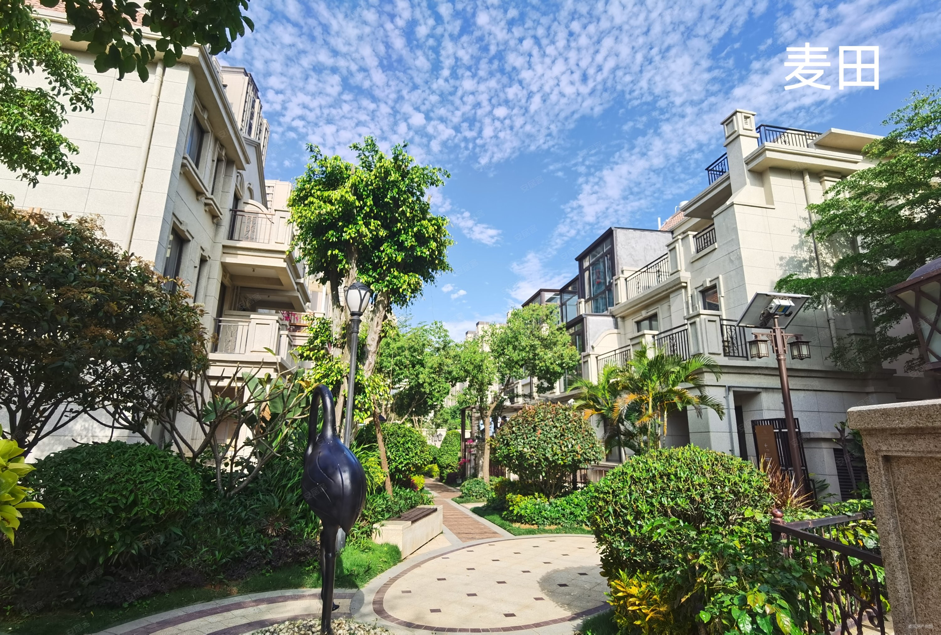 翔安新城 一线海景 高层无遮挡 眺望五缘湾 明厨明卫 全新,世茂御海墅