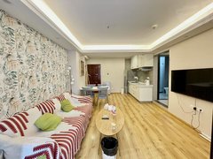 昆明五华泛亚科技新区云时代广场装修精美平层2室 干净温馨拎包即入住  下楼即地铁出租房源真实图片