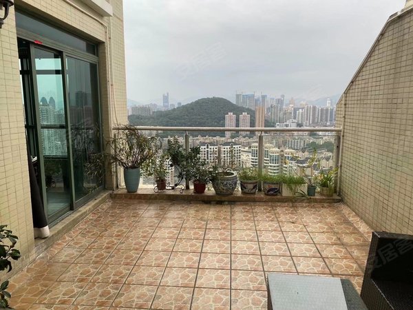 深圳罗湖布心君逸华府新上!