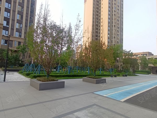 泸州江阳万诚国际中心万城国际中心急租,包物业费,可押一付一,套一