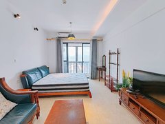 东莞南城南城车站G1蜂汇 阳光充足 南北通透 1室0厅1卫出租房源真实图片