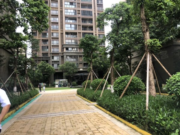 【多图】珠海奥园广场(商住楼),上冲租房,奥园广场公寓楼 山姆会员店