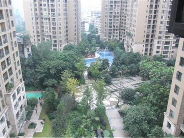 【多图】光华观府国际,观音桥租房,实拍!