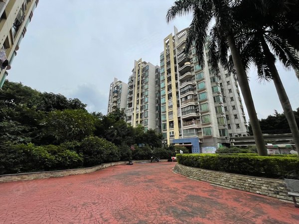 广州海珠琶洲畔江花园琶洲畔江花园 3室1厅1卫 精装修 配套齐全 电梯