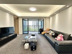厦门翔安隧道口公元九里 全屋地毯 带浴缸 小姐姐新退 高端配置 随时看房出租房源真实图片