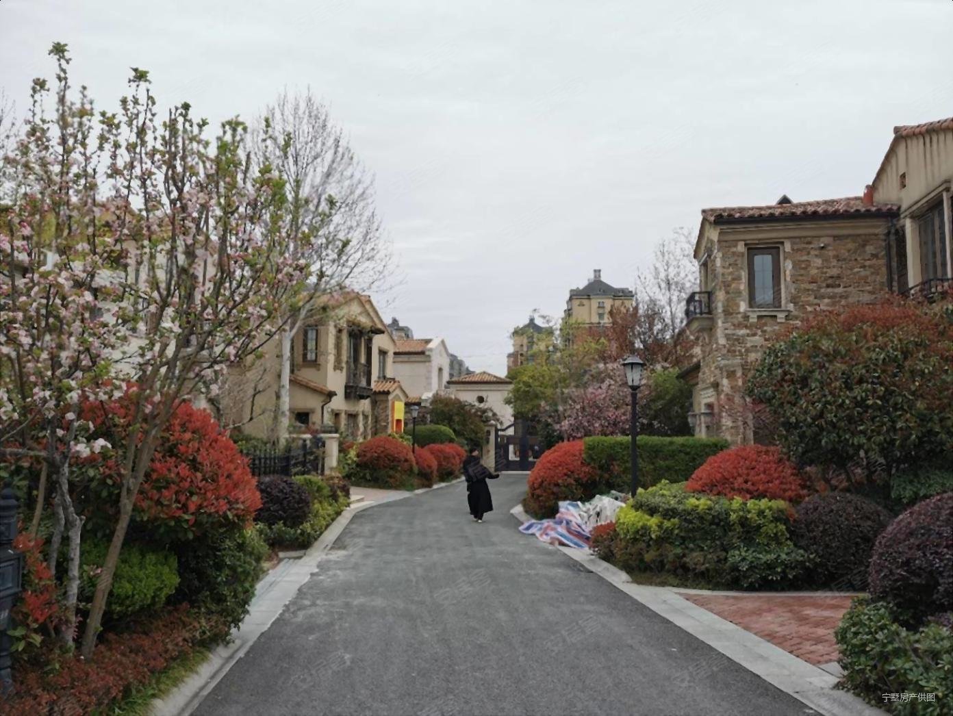 急卖 九月森林 超大花园 急售 法式独栋别墅,九月森林二手房,1750万,4