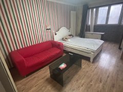 北京朝阳甜水园甜水园北里一室一厅 精装修出租房源真实图片