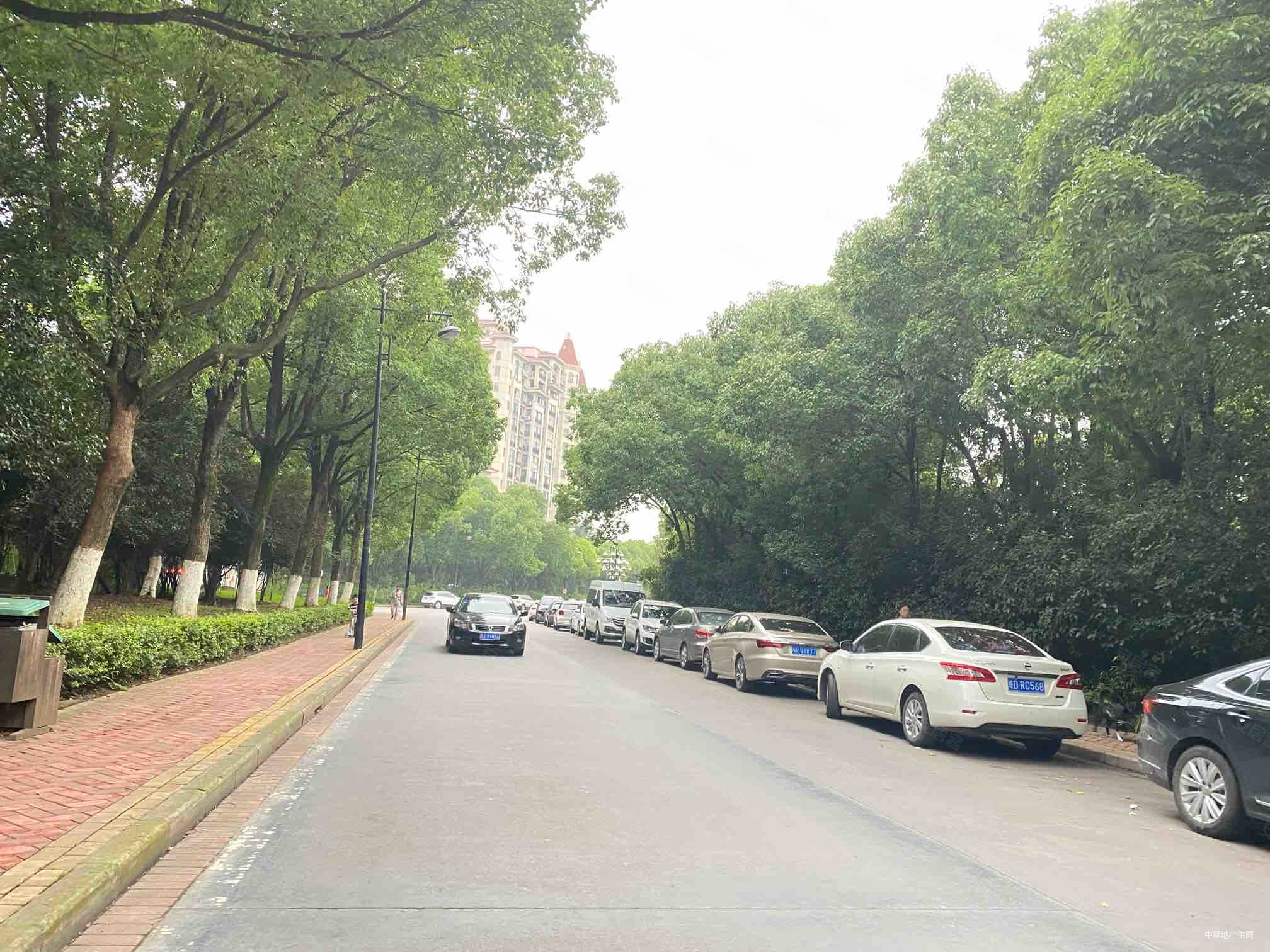 长江西路北不靠近马路 新加坡花园城大三室 小区环境好 小高层