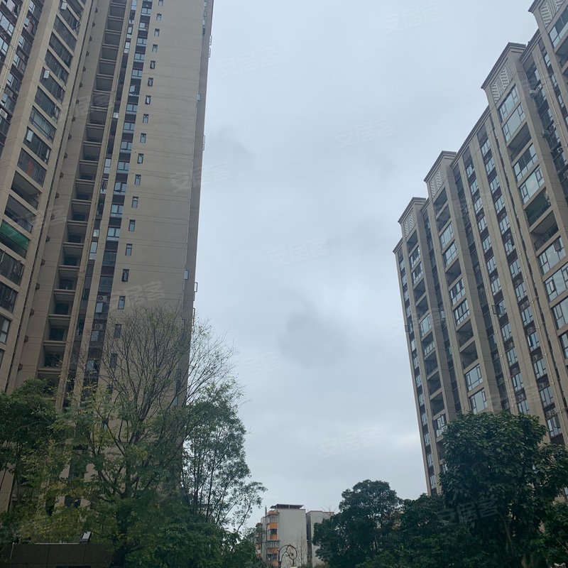 【碧桂园城央首府, 碧桂园城央首府小区详情,房价走势,房源,业主论坛