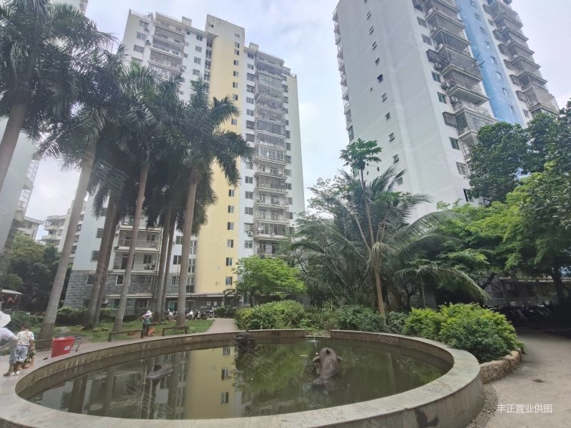 龙华区海秀东路市九中附近花园小区精装三房南北通透