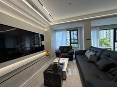 丽水莲都东苑上叠四室两厅两卫，豪华精装修，带车位，领包入住出租房源真实图片
