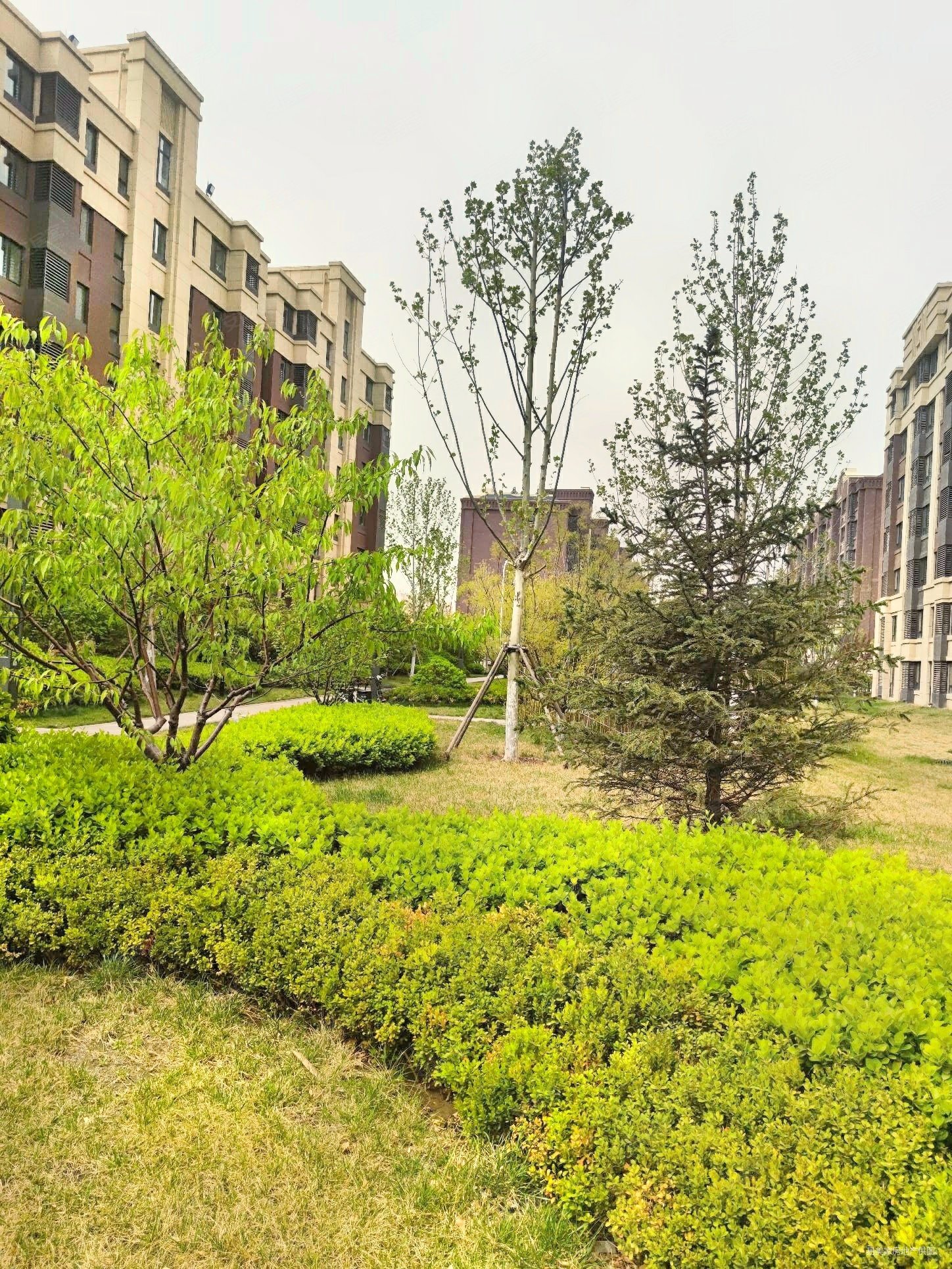 全景落地窗 万科锦庐旁 金地艺华里 128平米 230万,锦庐(西青)二手房