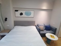 上海静安静安寺问世间情为何物,只教人生死相许,整租公寓,临近地铁口,电梯房出租房源真实图片
