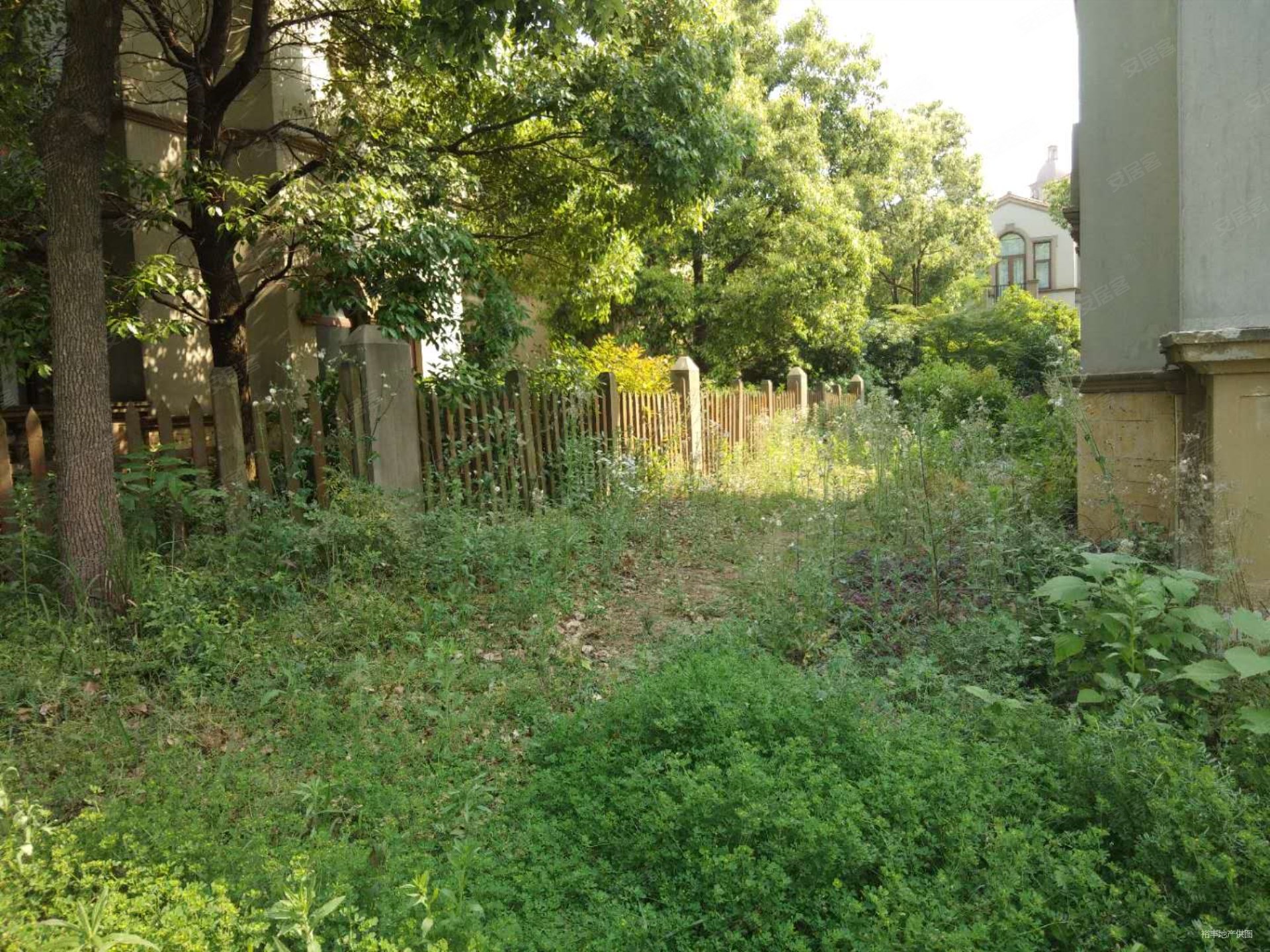 绿色港湾马德里庄园6室3厅3卫354㎡南北500万