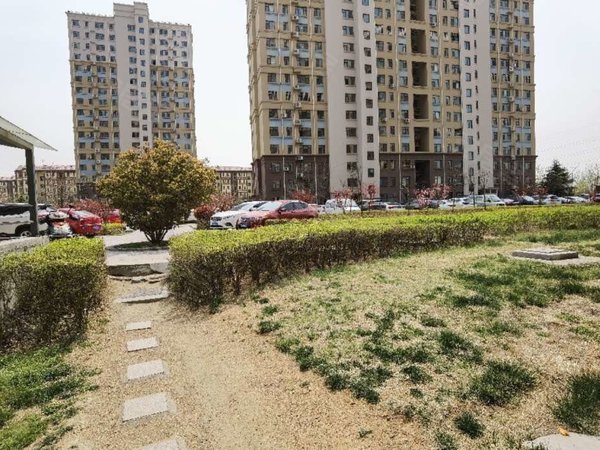 青岛黄岛隐珠天一畔城美林居(319-358)天一泮城美林居,一楼精装大套二