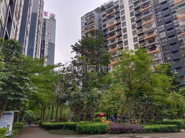 南宁兴宁区政府大嘉汇东城37平 精装 大嘉汇东城 电梯房 面议 整租