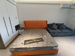 信阳平桥平中大街圣世文博嘉苑 1室1厅1卫 配套齐全 电梯房 精装修出租房源真实图片