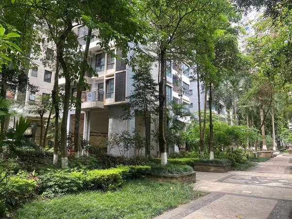 南宁西乡塘安吉鸿彦苑三面采光,豪华装修领包入住,近地铁,近菜市出租