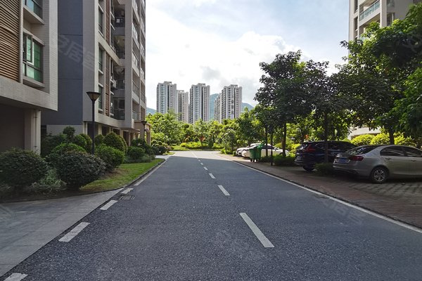 阳江小区 阳春小区 春城镇小区 金鼎花园