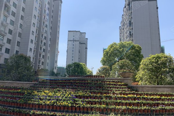 黄山小区 歙县小区 歙县城区小区 和泰国际城