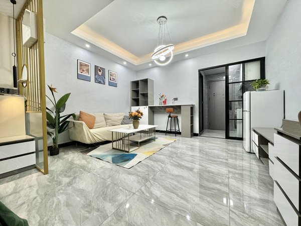 金华东阳东阳市中心艺海北路246号楼艺海北路 汉宁 东方国际附近 精装修  拎包入住 押一付一出租房源真实图片